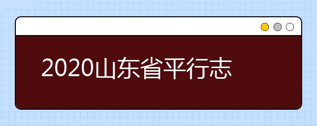 2020山东省平行志愿怎么报？平行志愿分几类？