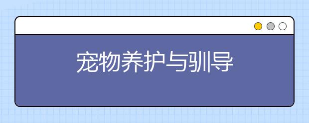 宠物养护与驯导
