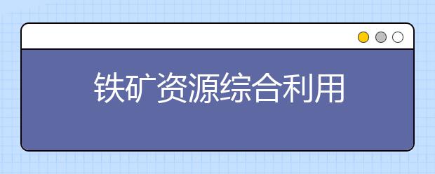 铁矿资源综合利用