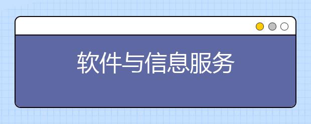 软件与信息服务
