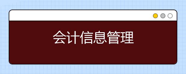 会计信息管理