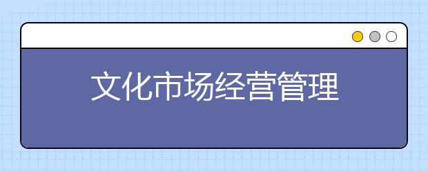 文化市场经营管理