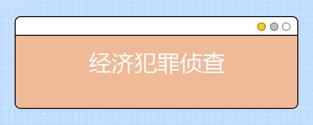 经济犯罪侦查