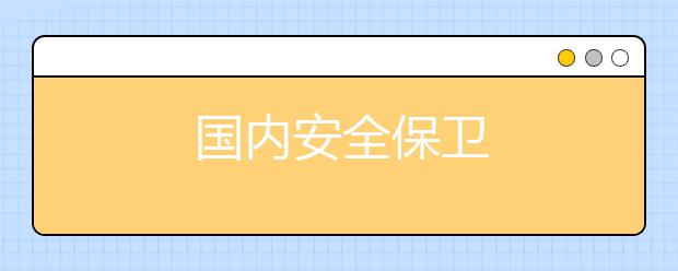 国内安全保卫
