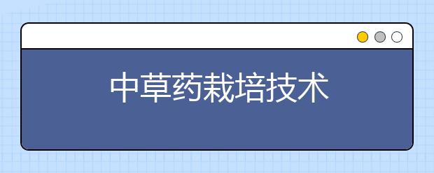 中草药栽培技术