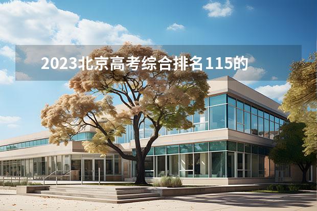 2023北京高考综合排名115的考生报什么大学