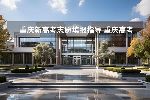 重庆新高考志愿填报指导 重庆高考志愿填报指南