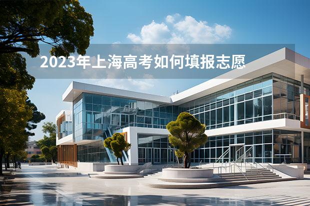 2023年上海高考如何填报志愿